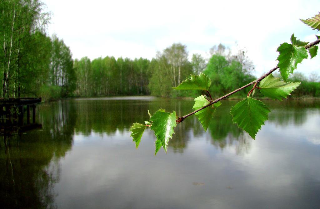 Haemeenkylaen Kartano วานตา ภายนอก รูปภาพ